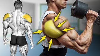 5 Best Rear Delt Exercise HUGE SHOULDERS [upl. by Oona948]