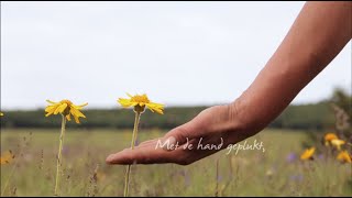 Arnica de Boiron belofte [upl. by Daeriam]