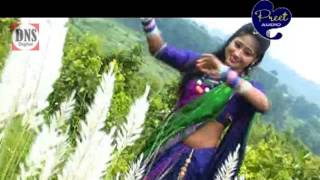 Sadri Song  Sadi Tor Sadi  Jyoti Sahu  Shiva Music Jhollywood [upl. by Trescha494]