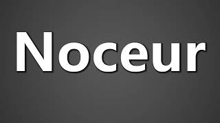 How To Pronounce Noceur [upl. by Yirinec719]