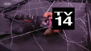 WWE TV14 Confusion Barbed Wire Dud ROH Preview  The Spotlight [upl. by Oiligriv238]