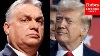 Very Powerful Tough Leader Donald Trump Praises Hungarian PM Viktor Orbán During RNC Speech [upl. by Ulla]