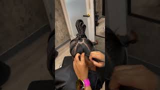 Easy Braids for Beginners💃 viralvideo easybraids beginners trendingshorts stylesbyporchej [upl. by Alinoel596]