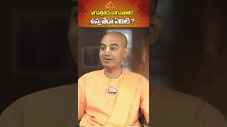 భగవద్గీత కు భాగవతానికి ఉన్న తేడా ఏమిటి  PranavanandaDas  ytshorts shorts  Bhaktione [upl. by Adnaerb]