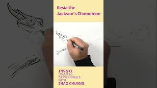 How to draw a Jackson’s Chameleon  Learn to Draw Animals with ZHAO Chuang [upl. by Aremus750]