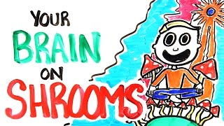 Your Brain On Shrooms [upl. by Rochelle585]