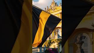 The BlackYellow Flag Symbol of the Empire [upl. by Taub]