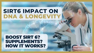 Longevity Unleashed SIRT6s Impact on Aging amp DNA Repair  Beyond Sapiens longevity sirtuins [upl. by Ahsiled]