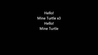 Mine Turtle Lyrics [upl. by Niffirg]