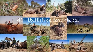 40  Archery Killshots  African Bowhunting Compilation [upl. by Feltie]