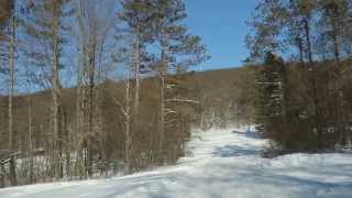 Beehunter Trail Allegany State Park by Paul Crawford [upl. by Eybbob]