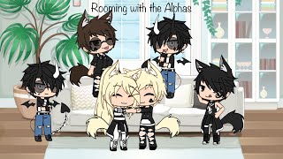 Rooming with the AlphasGLMM [upl. by Naitsihc210]