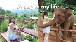 Thailand Travel Vlog  Relax with me at Elephant Cafe 🐘🍌 Jazz night What I Eat in a Day in Chimang [upl. by Eibber]