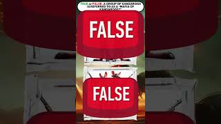 Australian True and False quiz True or False kangaroo quiz Play now the answer in 20 seconds [upl. by Salta]