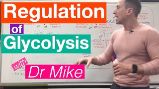 Glycolysis  Metabolism [upl. by Naujid912]