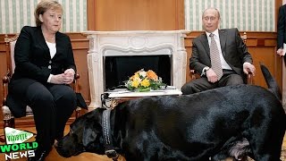 Vladimir Putin I Didnt Mean to Scare Angela Merkel with Dog [upl. by Pownall90]