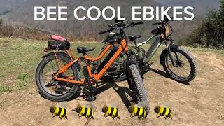 POWERFUL BEE COOL EBIKES  GREAT FOR SENIORS [upl. by Wulfe560]