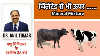 गायभैंस के लिए चिलेटेड से भी असरदार Mineral Mixture [upl. by Giuseppe]