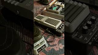 Boss  Dunlop Wah shootout guitar vs shorts music [upl. by Tabb]