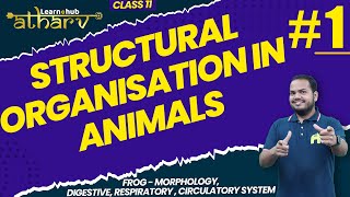 Structural Organisation in Animals Class 11 Biology NCERT Chapter 7 1  Frog  Atharv batch [upl. by Atse]