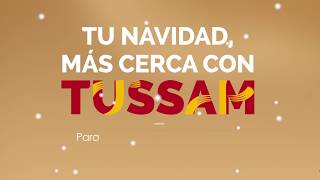 Campaña de Navidad 20192020 de TUSSAM [upl. by Ialokin]