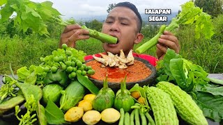 MUKBANG LALAPAN SEGAR  LALAPAN MENTAH  RUJAK SAYUR  SABEL TOMAT SUPER PEDAS [upl. by Nabi]