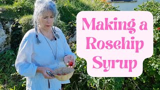 How to Make Rosehip Syrup [upl. by Dede608]