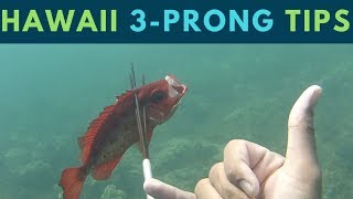 MUST KNOW Hawaii Spearfishing Tips for quot3Prongquot PolespearBeginner Friendly [upl. by Dayle]