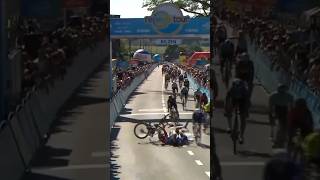 🚨 Chaotic Finish Line Crash as Jonathan Milan Takes Victory  Renewi Tour Stage 1 shorts cycling [upl. by Rodmun]