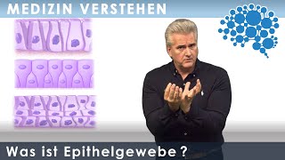 Was ist Epithelgewebe │Dr Dr Damir del Monte│Encephalon Medizin Videos bei Lecturio [upl. by Leavitt13]