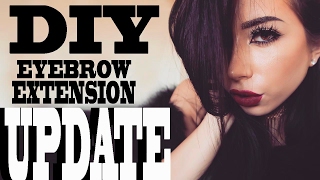 DIY EYEBROW EXTENSIONS UPDATE [upl. by Dimitris]