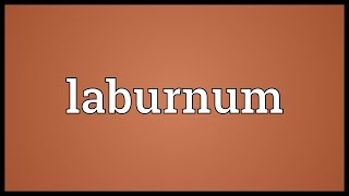 Laburnum Meaning [upl. by Pressman305]