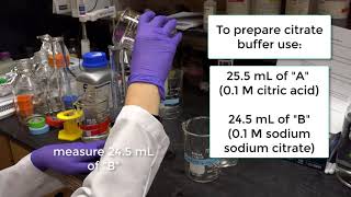 Episode 6 Making Stains to Observe Plant Cells [upl. by Dnomhcir791]