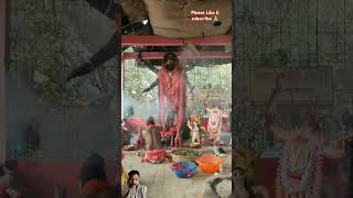 अघोर काली मां  गुरु मनीकाननद  kali festival  blogs video  vairal sort  vairal video [upl. by Idnal]