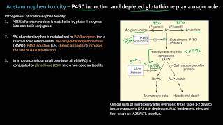 Acetaminophen or Tylenol Toxicity  Lect 19  Pharmacology [upl. by Tawney674]