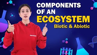 Components of an Ecosystem  Biotic and Abiotic  Biology  Class 8 ICSE  Home Revise [upl. by Dahij327]