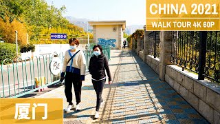 2021 China walking tour  UHD 4K 60P  Street view from Xiamen unversity to the downtown [upl. by Yreneh981]