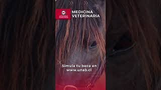 Medicina Veterinaria UNAB 2025 shorts [upl. by Leod]