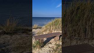 Strandaufgang mit Bank  Neuendorf auf der Insel Hiddensee  19102024 nature travel art love [upl. by Ekenna]