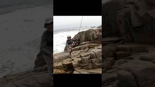 Corvina  pesca tiempodepesca fishing fishinglife youtube shorts shortvideo [upl. by Surat]