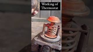 How Thermostat works automobile mechanic shorts lifehacks [upl. by Ardnahs316]