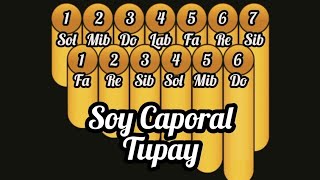 Tutorial y notas de Zampoña Soy Caporal  Tupay [upl. by Leizar]