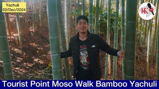 Kk News Exploring the serene Moso Bamboo Walk at Yachuli [upl. by Kcirevam870]