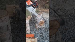 stihl ms391 buckn 8quot rounds firewood [upl. by Nigem]