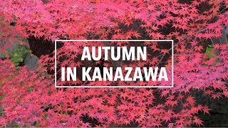 Autumn in Kanazawa City 金沢  A Japan Travel Film [upl. by Ahsimot818]