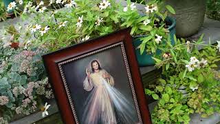 May God be glorified in everything stfaustina divinemercy emptyhanded falter obligation [upl. by Agnesse]