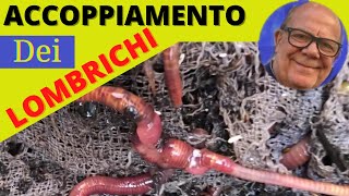 ACCOPPIAMENTO LOMBRICHI ed informazioni dettagliate [upl. by Carolin903]