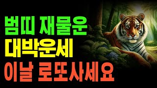 2024년 갑진년 범띠 5월 로또당첨운세 86년 74년 62년 [upl. by Eemak]