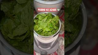 PUDINA KO ACHAR BANAUNE TARIKA 😋 pleasesubscribe recipe shortvideo [upl. by Luap]