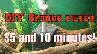 Sponge Filters are The Worst Aquarium Filter [upl. by Refennej341]